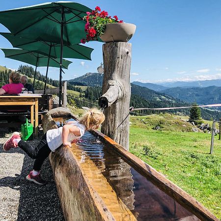 Hotel-Restaurant Bike&Snow Lederer Muhlbach Am Hochkonig Exterior photo