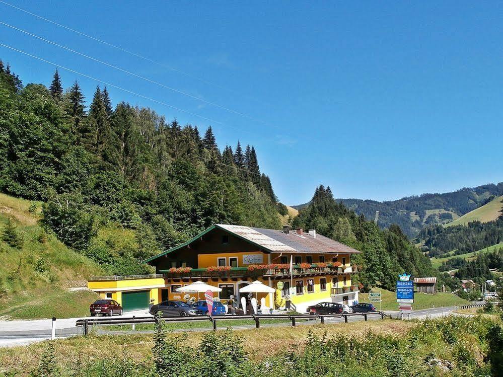 Hotel-Restaurant Bike&Snow Lederer Muhlbach Am Hochkonig Exterior photo